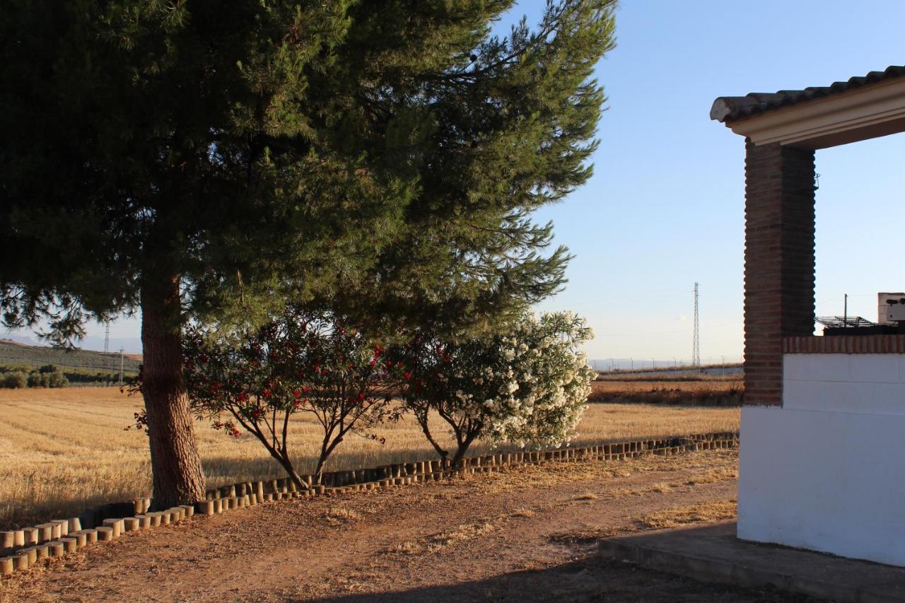 Casa Rural La Rosa De Los Vientos Fuente de Piedra Exteriér fotografie